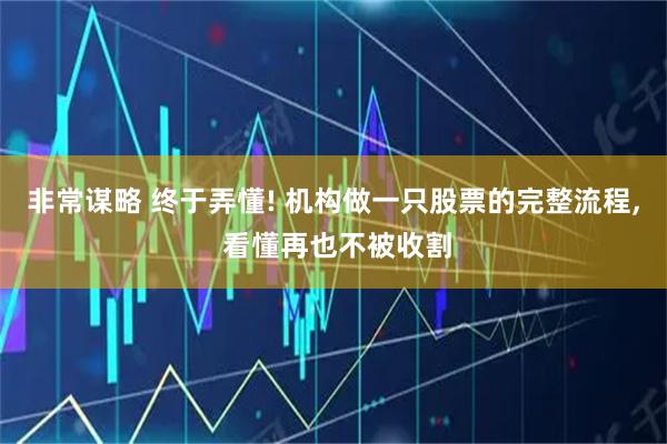 非常谋略 终于弄懂! 机构做一只股票的完整流程, 看懂再也不被收割