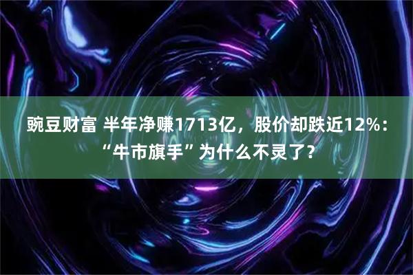 豌豆财富 半年净赚1713亿,股价却跌近12%:“牛市旗手”为什么不灵了?